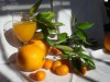 Elige el mejor servicio de naranjas a domicilio